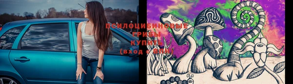 прущая мука Абинск