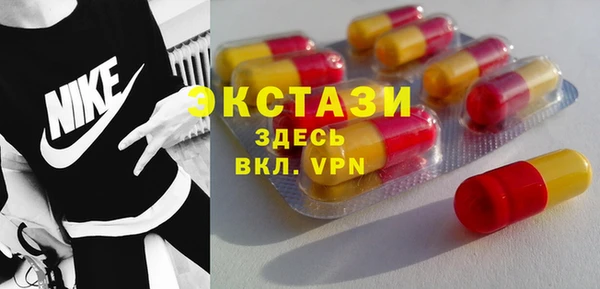 индика Алексин