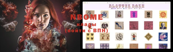 индика Алексин