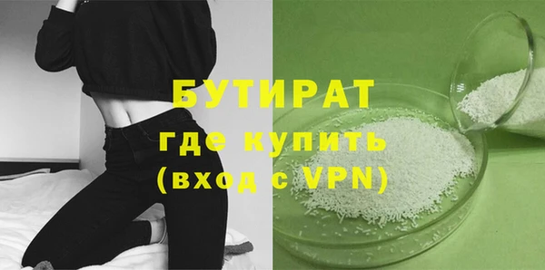индика Алексин
