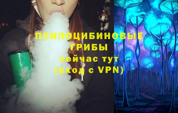 гидра Алзамай