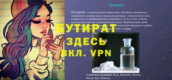 индика Алексин