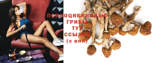 мет Абаза
