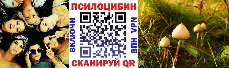 Псилоцибиновые грибы прущие грибы  Людиново 